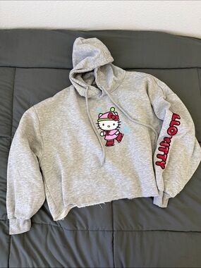 Aeropostale Light Gray Cropped Hoodie with Pink Graphic
